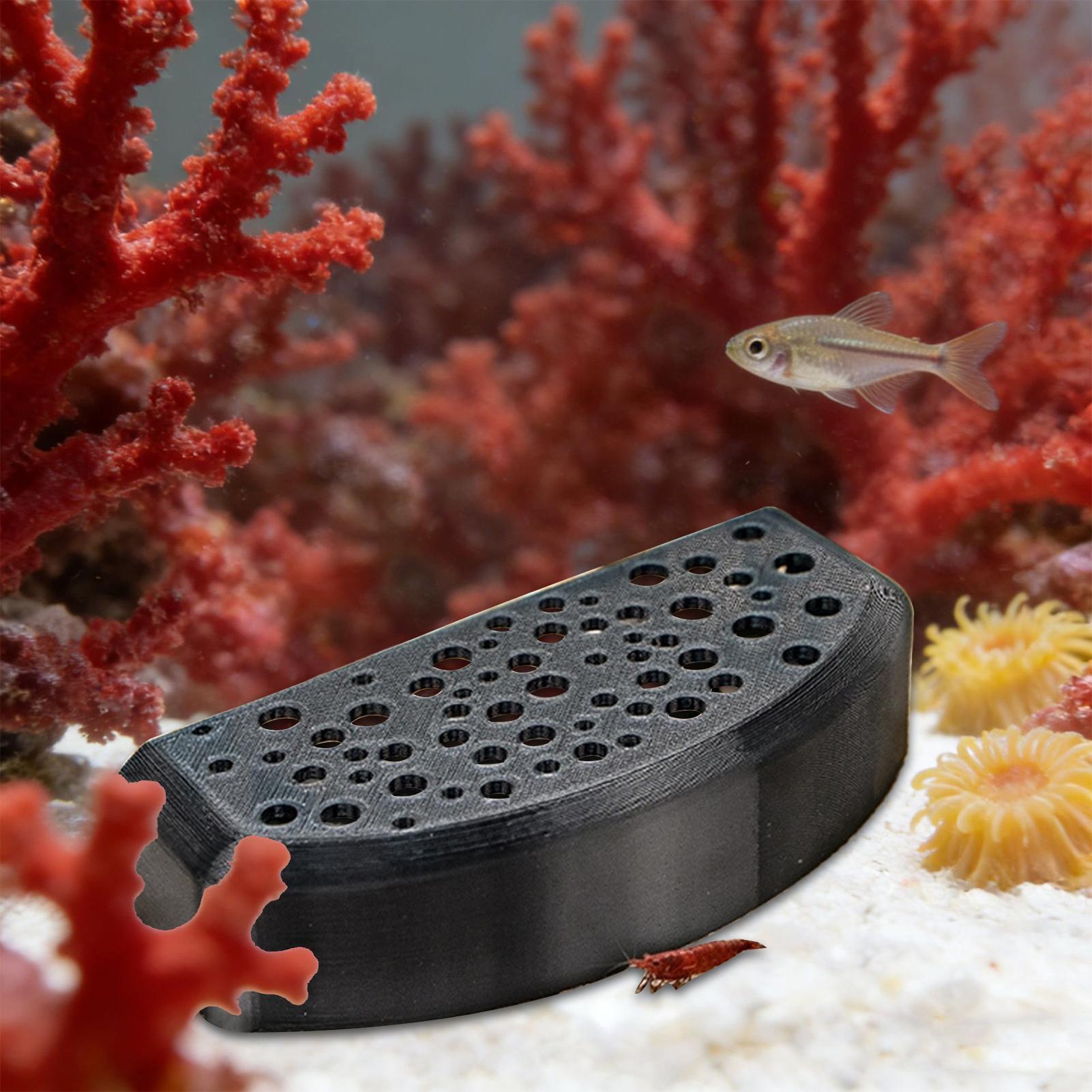 Aquatic Pet Rest Ornament Mult - Aquatic Zone 评论和价格