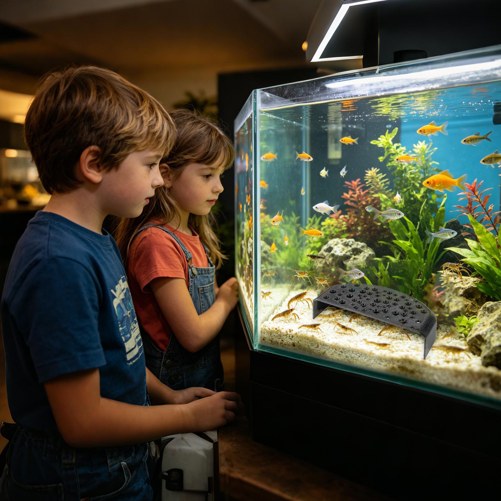 Aquatic Pet Rest Ornament Mult - Aquatic Zone 评论和价格