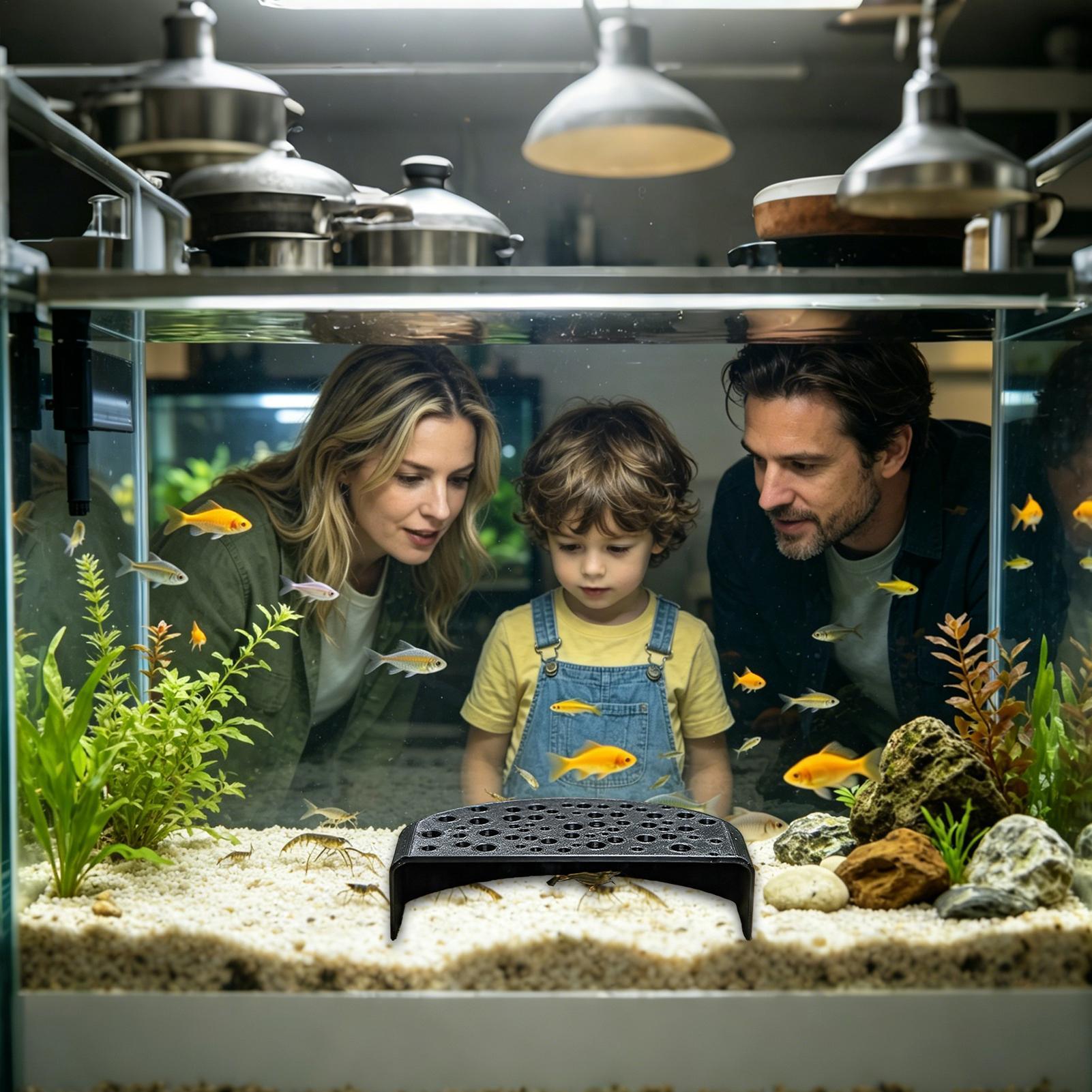 Aquatic Pet Rest Ornament Mult - Aquatic Zone 评论和价格
